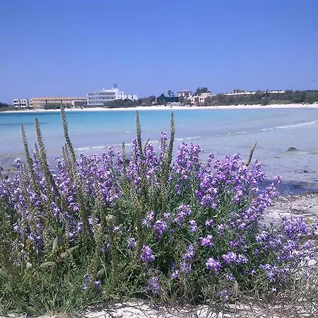 Bea דירה